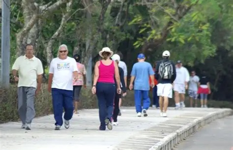 Exaustão pós-feriado? Pratique a caminhada leve e desperte seu metabolismo  